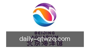球探网足球